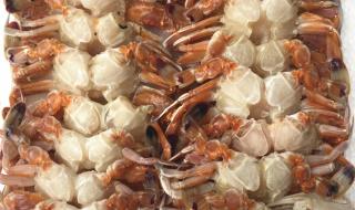 螃蟹的腮在哪里图片 螃蟹的腮在哪里图片