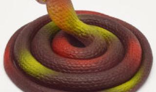 愚人节整人链接 愚人节整人链接