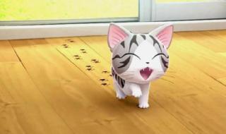 甜甜私房猫表情包 甜甜私房猫表情包