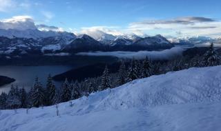 意大利签证拒签 意大利签证拒签