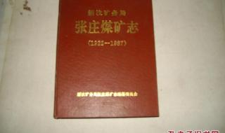 新汶矿务局 新汶矿务局