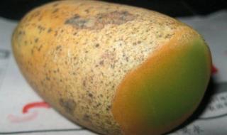 陨石钻石夜明珠 陨石钻石夜明珠