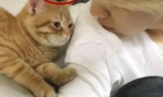 怎样打自己的隐私 怎样打自己的隐私