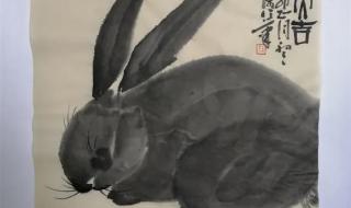 瑞兔呈祥是什么意思 瑞兔呈祥是什么意思