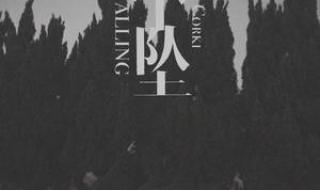 下坠falling 下坠falling