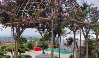 惬意的庄园生活 惬意的庄园生活