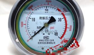 轴向耐震压力表 轴向耐震压力表