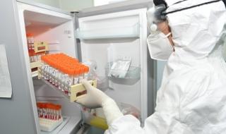 2023年11月新冠高峰 2023年11月新冠高峰